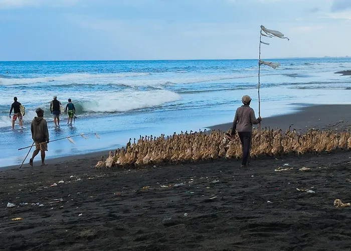 Resort K Ko Surf Village At Keramas *